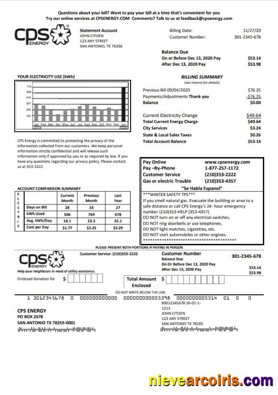 USA Texas CPS utility bill